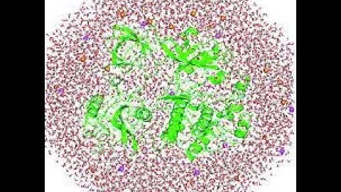 Molecular dynamics simulation tutorial using Gromacs with the linux introduction. Live session (Q/A)