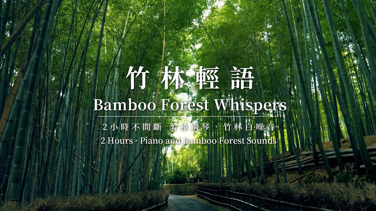 【柔和鋼琴與竹林環境音】竹林白噪音 2小時柔和鋼琴 | 2-Hour Bamboo Forest & Soft Piano for Relaxation |