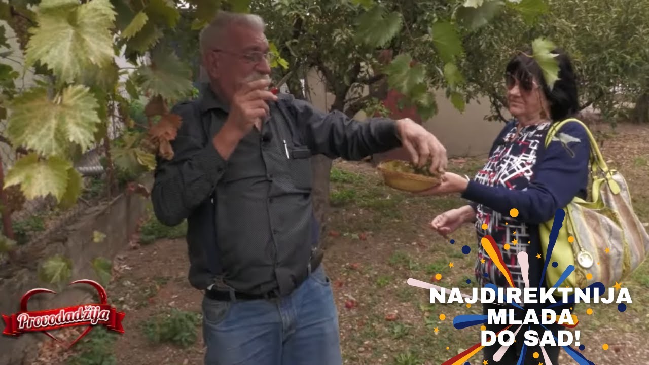 PROVODADZIJA - DIREKTNA MLADA - 