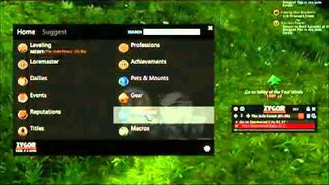 (1-90 In Days) ZYGOR GUIDES + ZYGOR LEVELING GUIDE