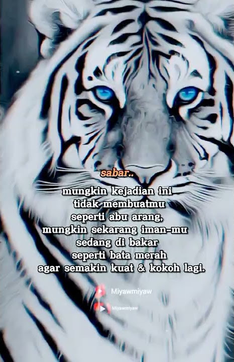 wejangan macan putih #shorts #status #attitudestatus #weton #wejangan #kejawen
