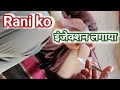 #newgirlinjectionvidioलड़की को कमर में इंजेक्शन लगाने की वीडियो injection video crying back side