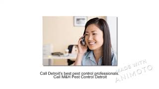Pest Control Regent Park MI -  M&H Pest Control Detroit