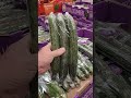 Почем продукты в Америке