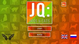 Jq Dogs &amp; Cats (Dogs) Прохождение ч.1 Собаки.