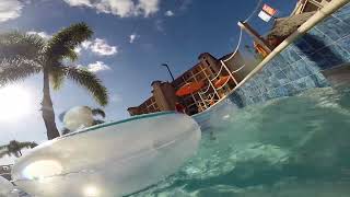 MJs🐥🦁🐧First time in Florida Resort Disney Water Park, Vacation.