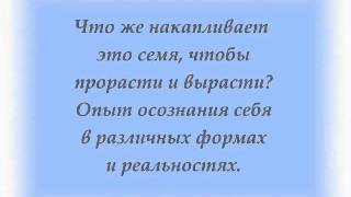 Целостность и Осознание 53-я серия Целостность и Осознание 53-я серия