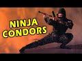 Wu Tang Collection - Ninja Condors (Versión en Español)