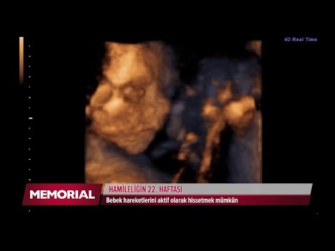 Video: 22 Haftalık Hamilelik: Duyular, Fetal Gelişim