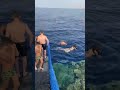 Египет Шарм-эль-Шейх Красное море отель Риксес. Egypt 🇪🇬 RIXOS Red Sea.