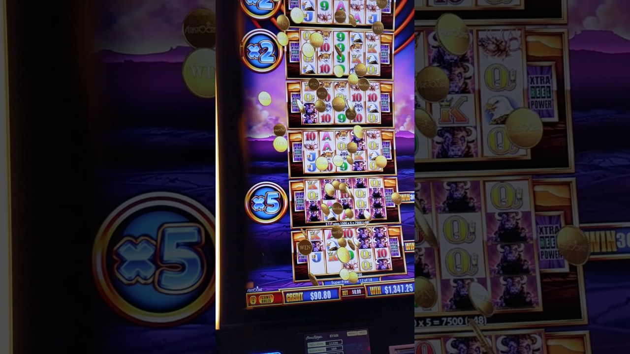 Wonder 4 Tower Buffalo Gold