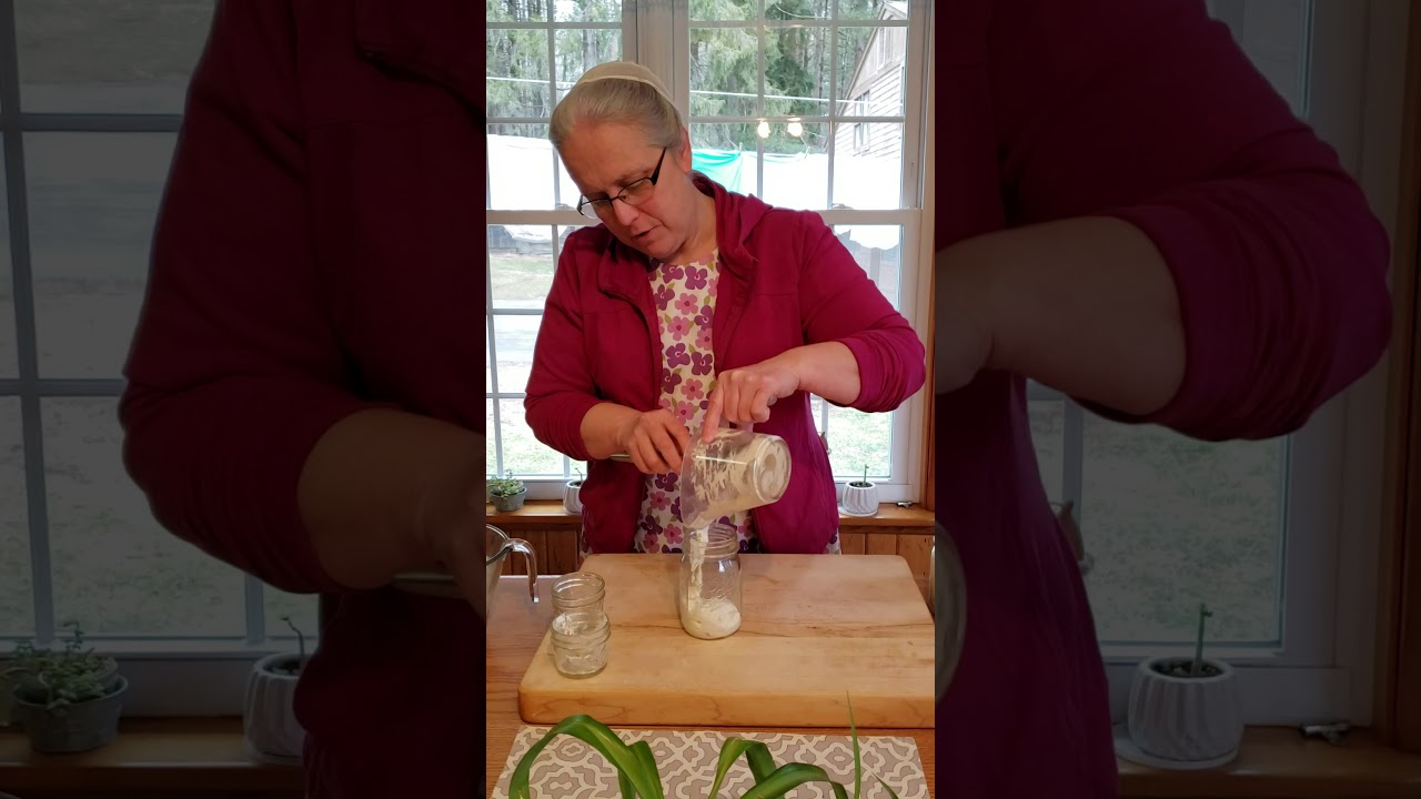 How to Feed Your Sourdough Starter! - YouTube