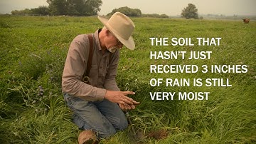 Regenerative Agriculture: How We Improved Soil Health with Rotational Grazing...and How You Can Too!