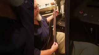 Danelectro Slap Back Echo with Bass.  #bassmodulators #bassfeatured #bass