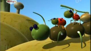 Babytv - Vegibugs - Centipede