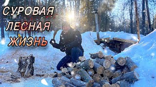 СУРОВАЯ ЖИЗНЬ В ЛЕСУ. ЗЕМЛЯНКА ГОТОВА В ВЕСНЕ. КОРМЛЮ ПОПОЛЗНЕЙ