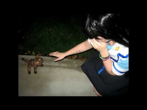 Ver pizzicato five / catwalk (st. etienne remix) no YouTube Ver pizzicato five / catwalk (st. etienne remix) no YouTube