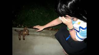 Pizzicato Five Catwalk St. Etienne Remix