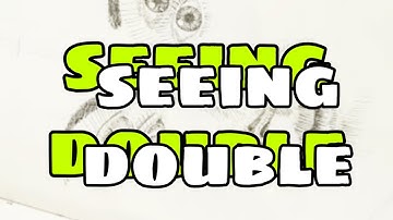 Seeing Double The Double Portrait - theartproject (2019) chad brown