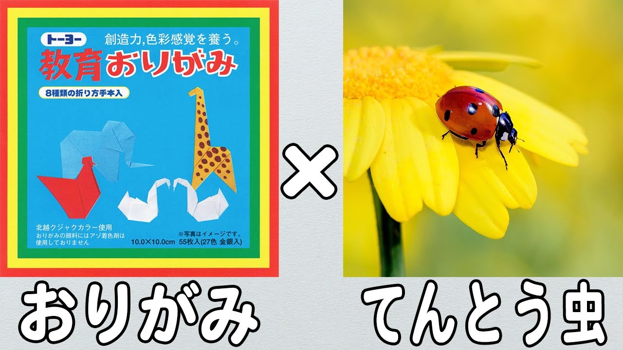 折り紙】てんとう虫の立体的な折り方 子供でも作れる難しくない作り方