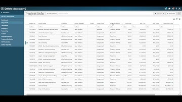 Deltek Power Launch Roles Project Manager
