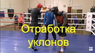 Бокс: отработка уклонов в парах/Boxing: slip drill