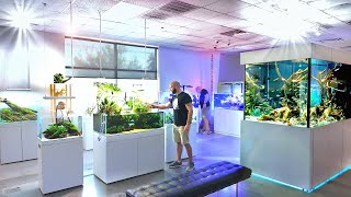 Fish Tanks Like Youve Never Seen Before Insane Aquarium Store Tour Adg Texas