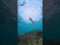 誰でも簡単にいい映像が撮れるカメラらしい #pr