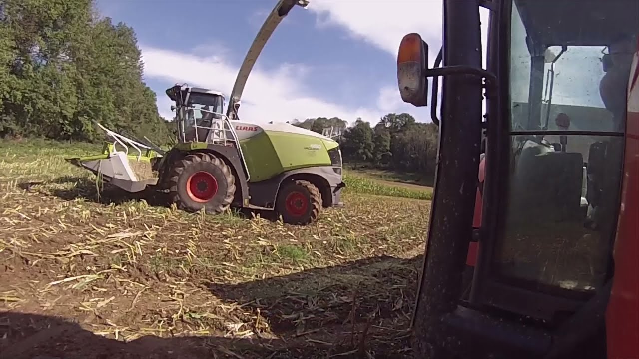Ensilage Maïs 2021 | Kubota M110 GX-II & benne Rolland Turbo 95 | Claas Jaguar 950
