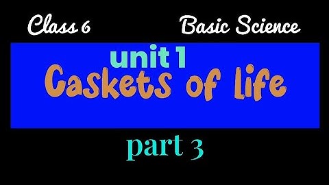 caskets of life / #class6  / unit 1 #basicscience #keralasyllabus  / @ANDCreations_in