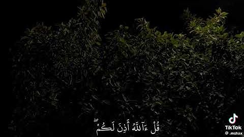 القارئ إدريس أبكر سوره يونس《 وشفاء لما في الصدور 》 أيه ٥٧ *