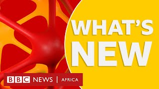 BBC Africa: The Ebola outbreak in the DRC and what is happening plus more - BBC What's New