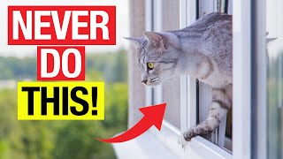 8 MOST IMPORTANT Mistakes You Should Avoid If You Have an Indoor Cat! screenshot 3