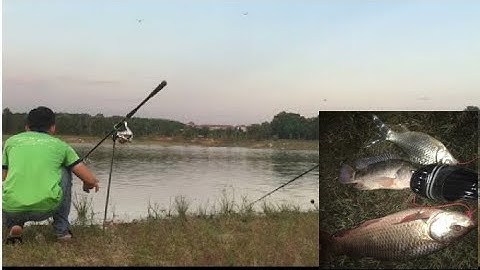 Câu cá tại hồ đá bàn - xã đất quốc