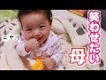 いないいないばあ!赤ちゃんの反応は?【生後6ヶ月】Mom want to see baby's smile!