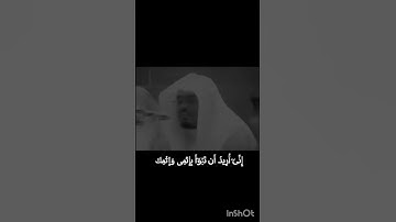 ماتيسر من سورة المائدة بصوت الشيخ ياسر الدوسري
