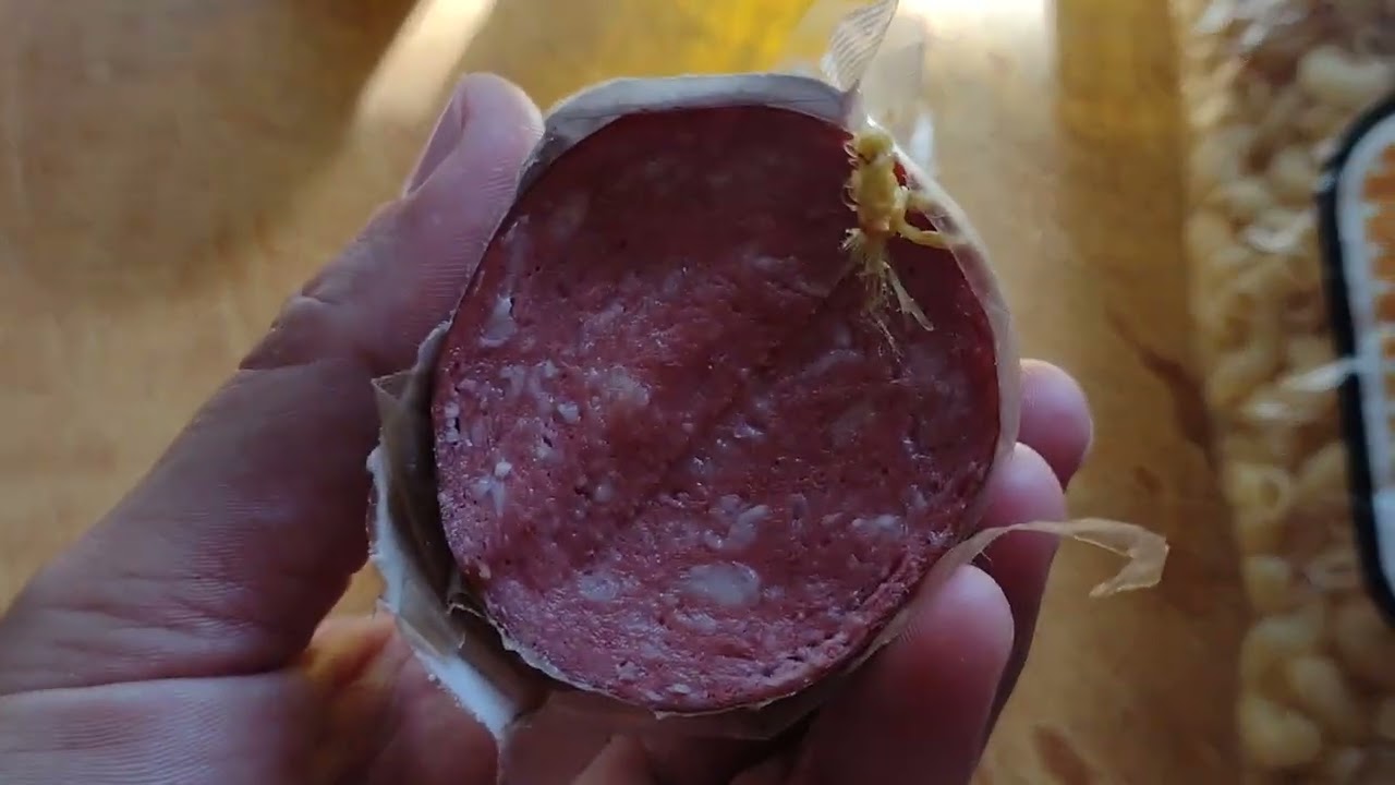 Обзор гуманитарной помощи (4.09.25)