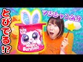 ギミックだらけの帽子がすごい!🎩🤪マジックみたいにうさぎが飛び出る『マジックバニーズ』がとんでもなかった!!!🐰