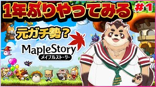 【メイプルストーリー】たぬきが１年ぶりに復帰してやってみる！【神楽狸丸/Vtuber】