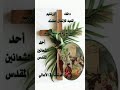 رسالتي لك اليوم من أحد الشعانين احد الفرح رسالتي لك اليوم من أحد الشعانين احد الفرح