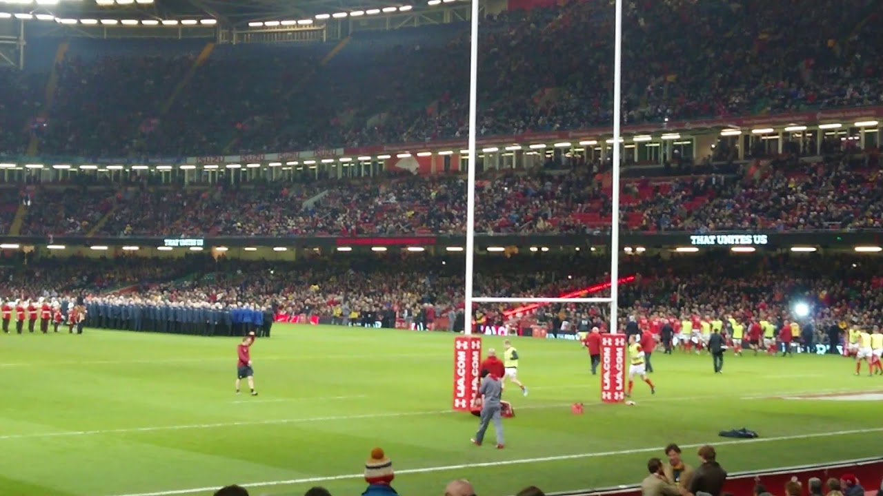 Delilah at Wales v South Africa Autumn Internationals 2018