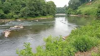 Down by the Pacolet river Net Worth