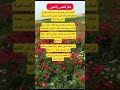 علم النفس ستوريات انسا حلات وتس اب أقوال توماس قصص واقعية حقائق ومعلومات Shrts ستوريات ـ ادولف 