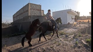 THIS Happened On My FIRST Time Learning To Ride A Horse