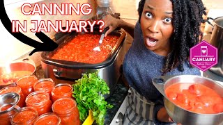FORGET Fresh Tomatoes, THIS is How I'm Making and Canning the BEST Salsa! Can it up Canuary 2023