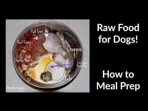 how-i-meal-prep-raw-food-for-dogs