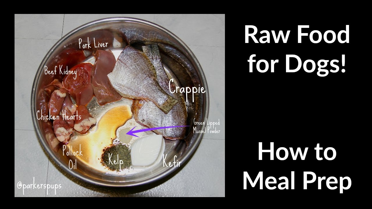 barf menu for dogs