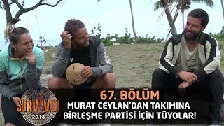 Murat Ceylan'dan takımına birleşme partisi için tüyolar! | 67. Bölüm | Survivor 2018