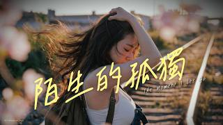 【💔 Healing】Walking Alone《The Moment I Let Go》｜Letting Go is So Peaceful｜#lyricvideo