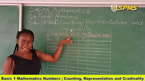 basic 1 mathematics numbers counting representation and cardinality 0